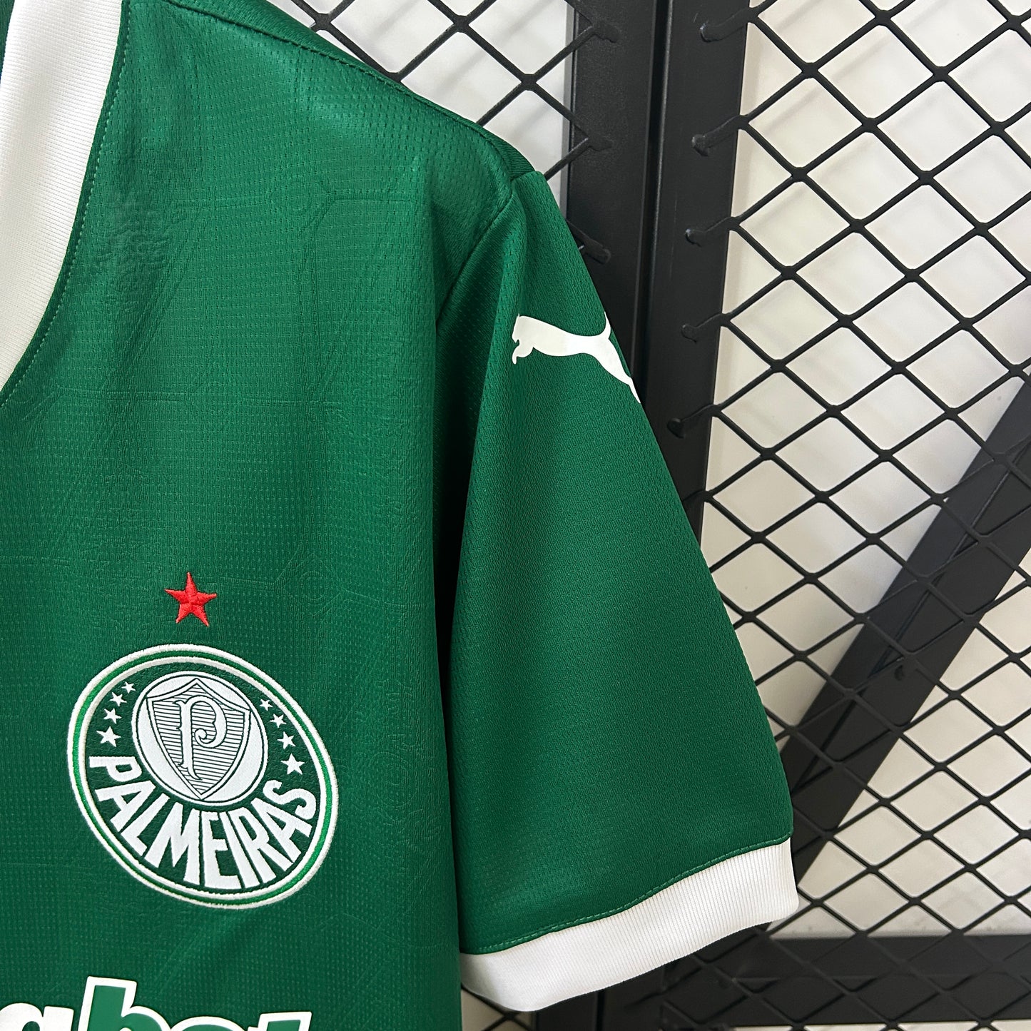 Camiseta Palmeiras 2025-26