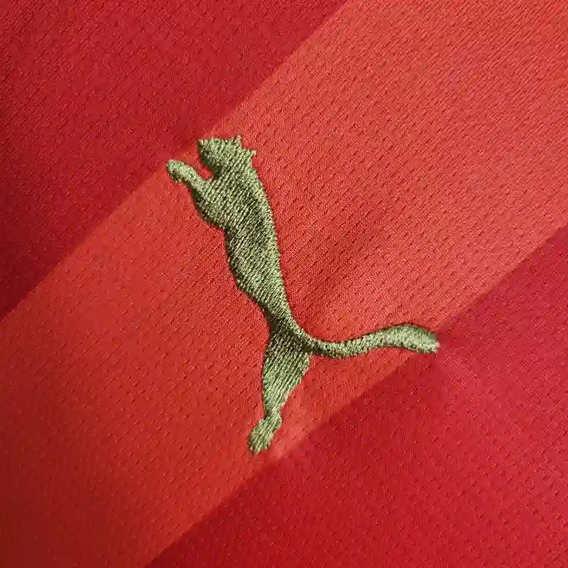 PSV Eindhoven 2024-25 Shirt