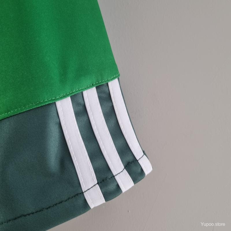 Palmeiras Retro Shirt 2010-11