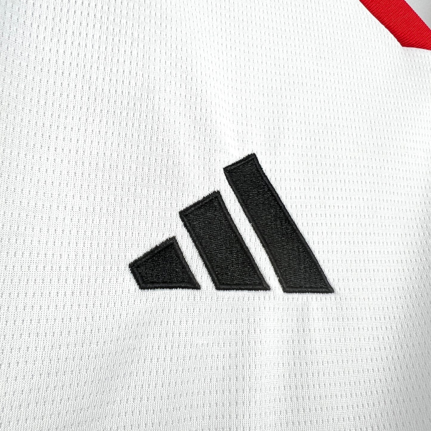 United Arab Emirates World Cup 2025-26 Jersey