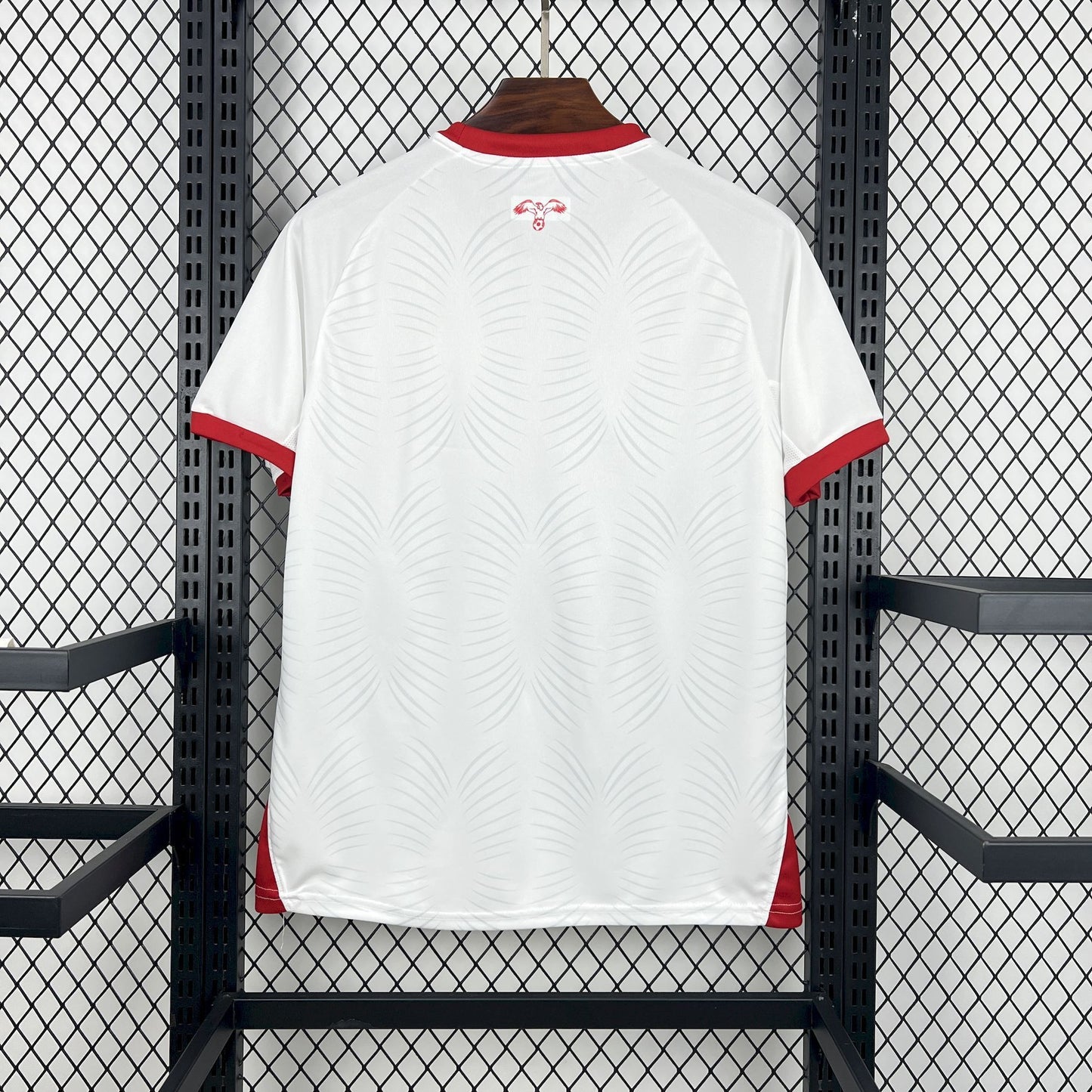 Jordan World Cup 2025-26 Jersey