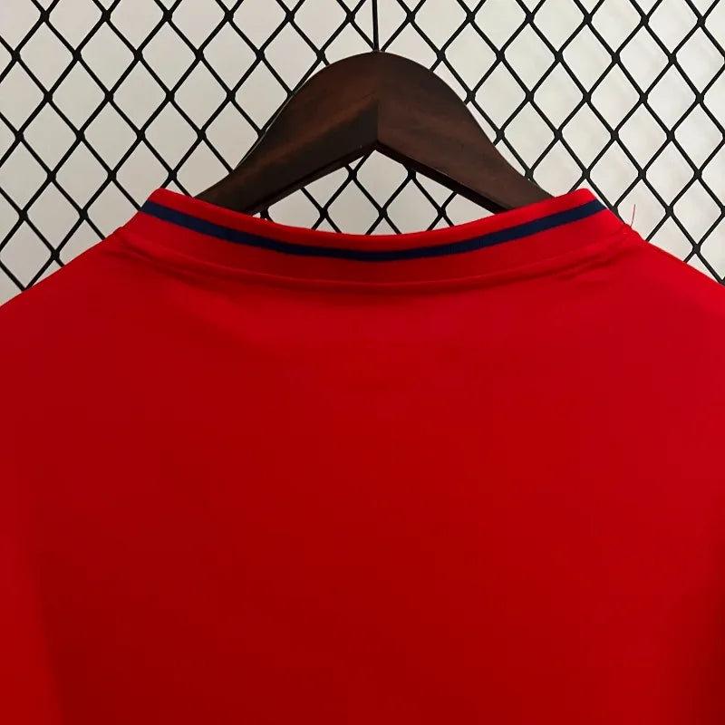 Camiseta Retro España 2010