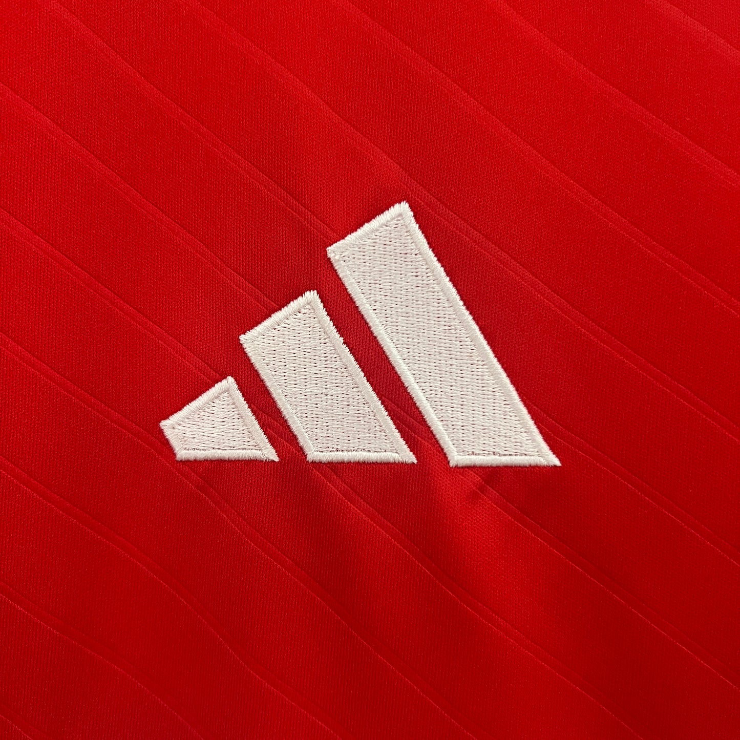 SL Benfica 2024-25 Jersey