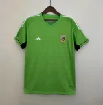 Camiseta Retro Argentina Portero Verde 2023 - Fútbol Club Vintage