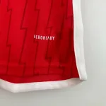 Camiseta Arsenal FC Manga Larga 2023-24 Retro - Fútbol Club Vintage