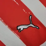 Camiseta PSV Eindhoven 2024-25 - Fútbol Club Vintage