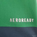 Camiseta Retro Palmeiras 2010-11 - Fútbol Club Vintage