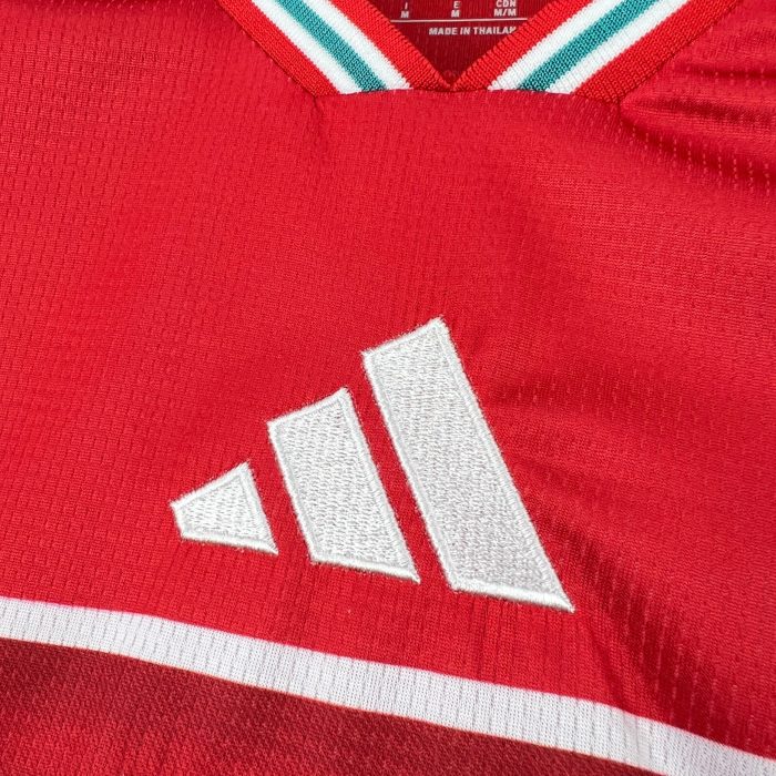 Camiseta Gales World Cup 2026 - Imagen 6
