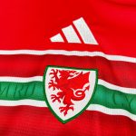 Camiseta Gales World Cup 2026 - Imagen 7