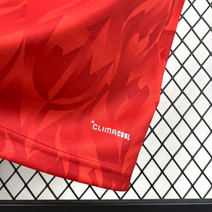 Camiseta Bélgica World Cup 2026 - Imagen 8