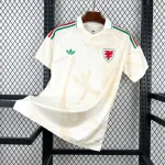 Camiseta Gales Visitante World Cup 2026