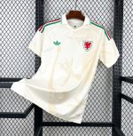 Camiseta Gales Visitante World Cup 2026
