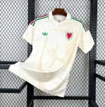Camiseta Gales Visitante World Cup 2026
