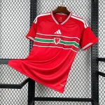 Camiseta Gales World Cup 2026