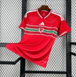 Camiseta Gales World Cup 2026