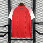 Camiseta Haití Visitante (3ª) World Cup 2025-26 - Imagen 2