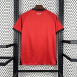 Camiseta Jordania Visitante World Cup 2025-26 - Imagen 2