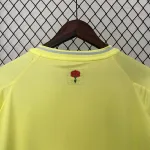 Camiseta España Visitante 2024-25 - Fútbol Club Vintage