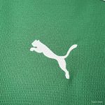 Camiseta Palmeiras 2026-27 - Imagen 6