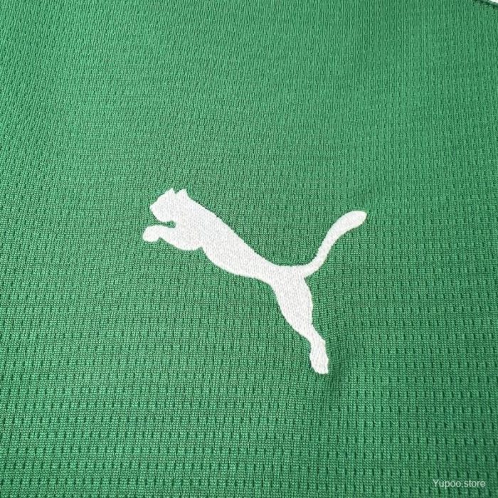 Camiseta Palmeiras 2026-27 - Imagen 6