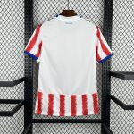 Camiseta Paraguay World Cup 2026 - Imagen 2