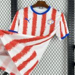 Camiseta Paraguay World Cup 2026 - Imagen 7