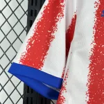 Camiseta Paraguay World Cup 2026 - Imagen 9