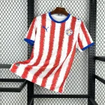 Camiseta Paraguay World Cup 2026