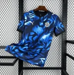 Camiseta Paraguay Visitante World Cup 2026