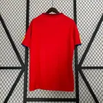 Camiseta Retro España 2010 - Fútbol Club Vintage