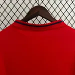 Camiseta Retro España 2010 - Fútbol Club Vintage