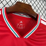 Camiseta Gales World Cup 2026 - Imagen 3