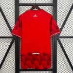 Camiseta Lille 2025-26 - Fútbol Club Vintage
