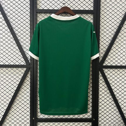 Camiseta Palmeiras 2025-26 - Fútbol Club Vintage