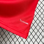 Camiseta Gales World Cup 2026 - Imagen 5