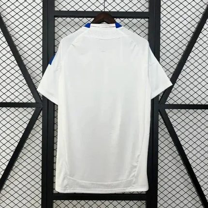 Camiseta retro Olympique de Lyon 2010-11 - Fútbol Club Vintage